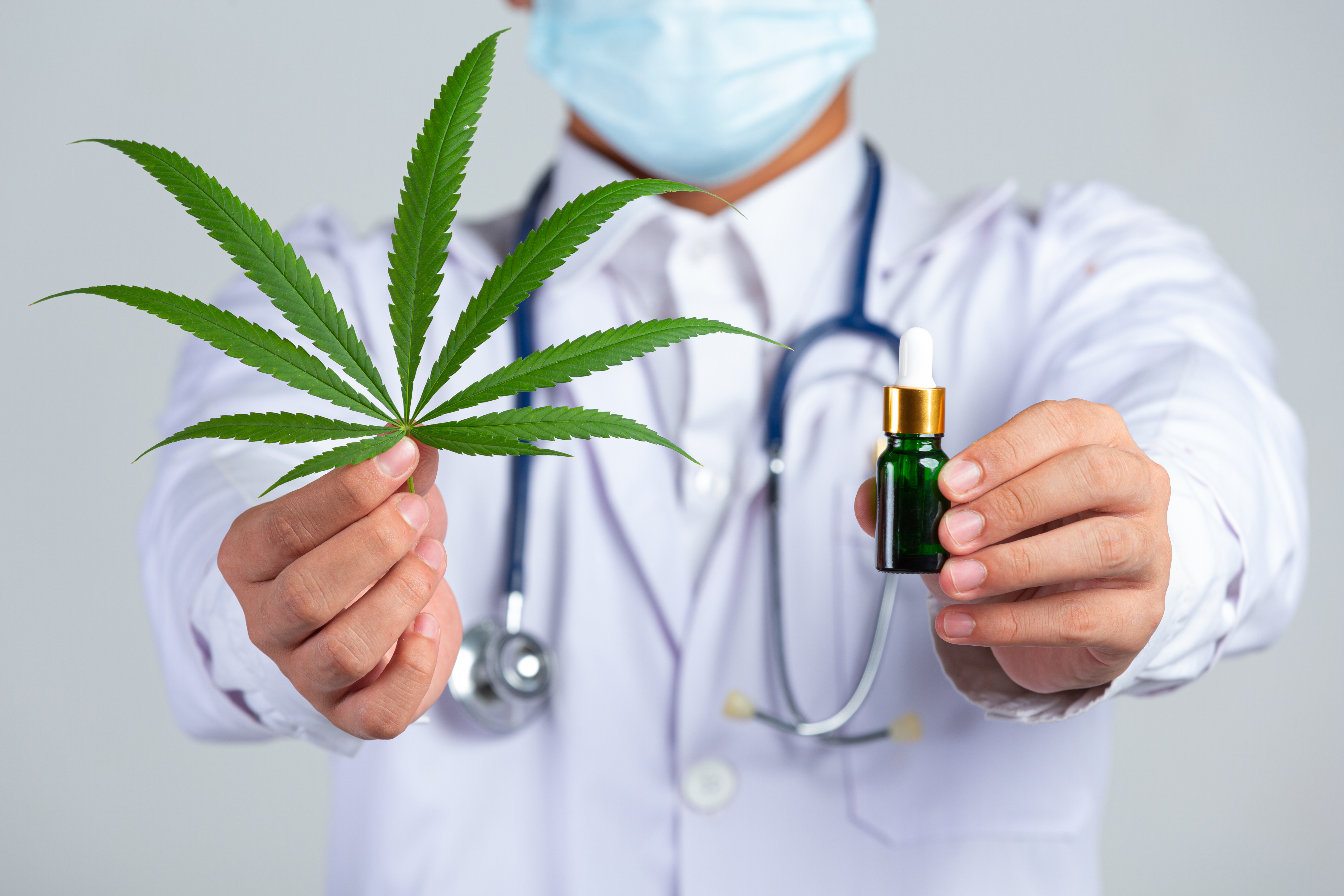 Cannabis: a história do uso medicinal da planta e o que a ciência já comprovou